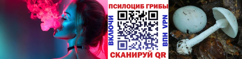 Галлюциногенные грибы Cubensis  хочу наркоту  Барнаул 