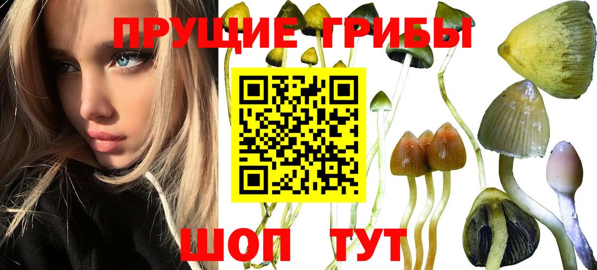 Меф МЯУ МЯУ кристаллы  МДМА  Вход с VPN  ЭКСТАЗИ  ГАШИШ  Барнаул  A PVP СОЛЬ   COCAIN 