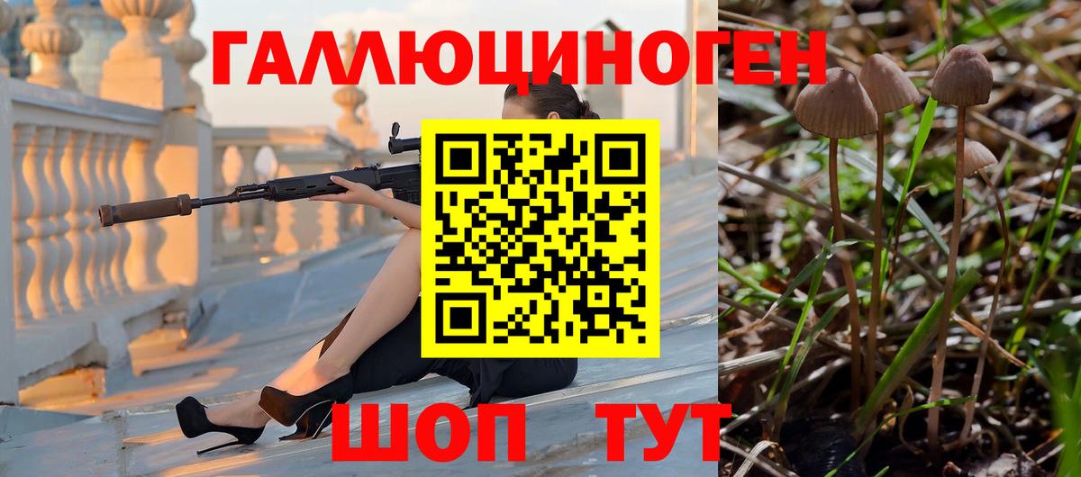 Галлюциногенные грибы Cubensis Барнаул