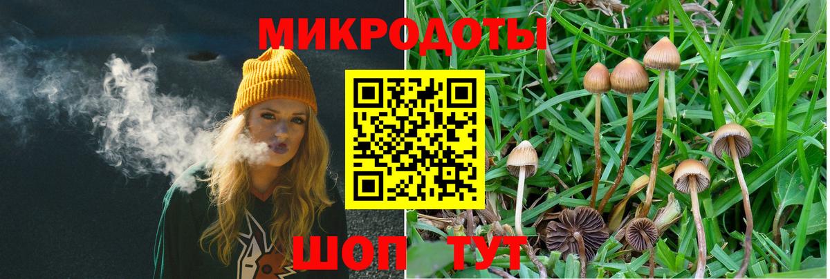 Галлюциногенные грибы Psilocybine cubensis  где можно купить наркотик  Барнаул  Вход с VPN 